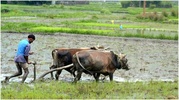 प्रतीकात्मक फोटो