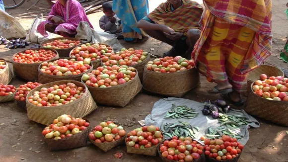 Vegetable farmers
