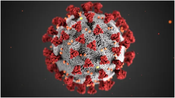 CORONA VIRUS