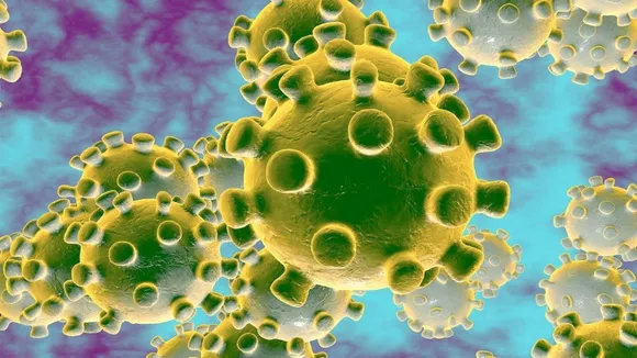 corona virus