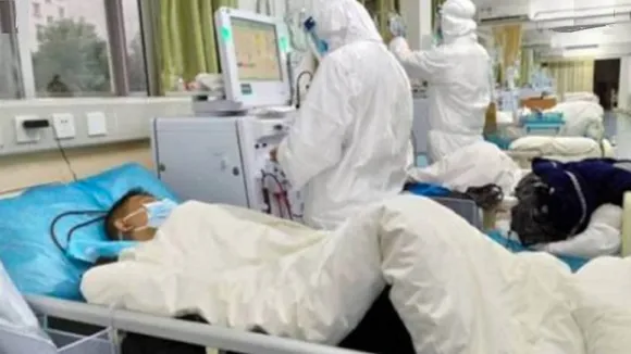corona virus