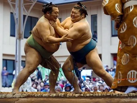 sumo