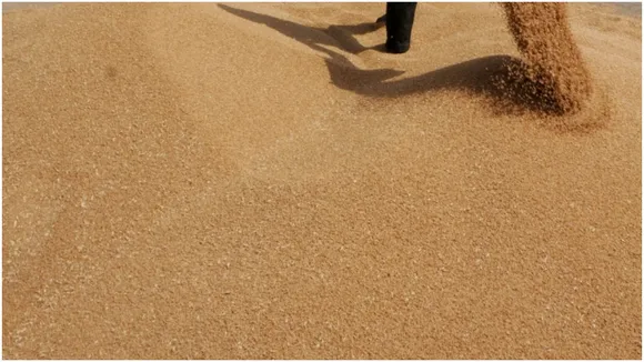 Grain