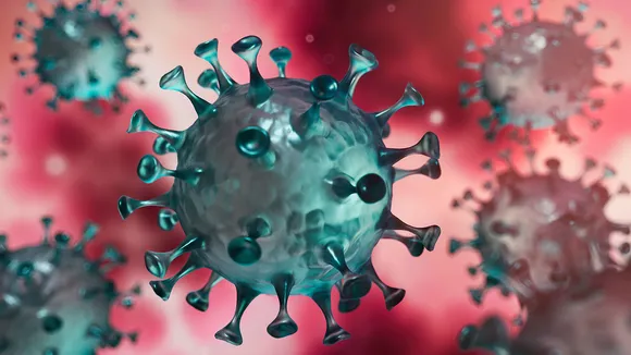 corona virus