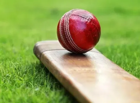 Cricket