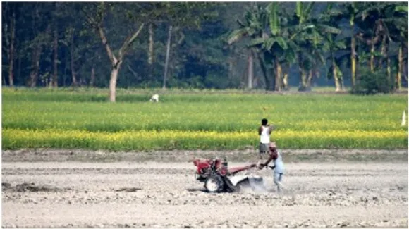 farmer