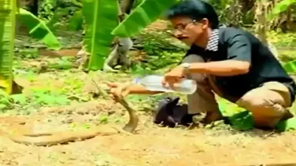 snake