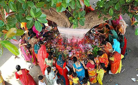 vat savitri