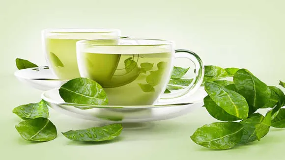 kangra tea