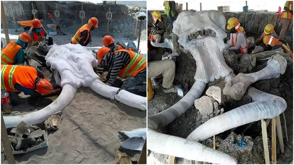 mammoth