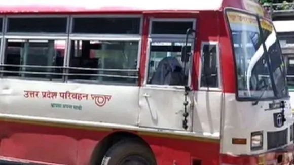 bus