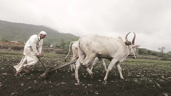 farmer