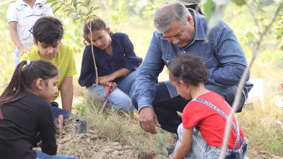 Plantation