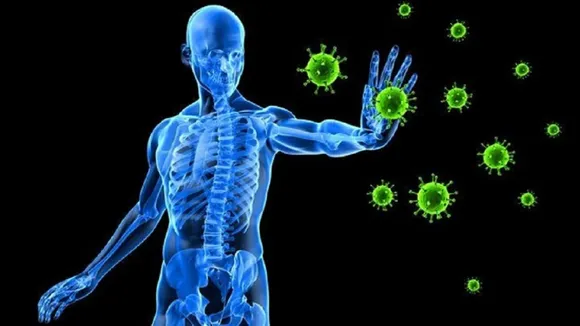immunity system