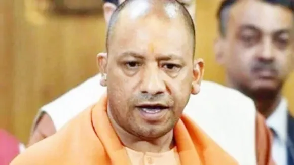 yogi