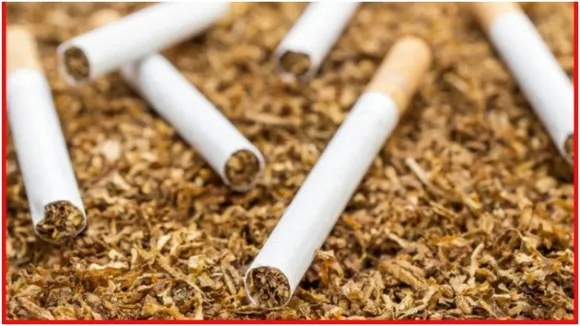 Cigarette