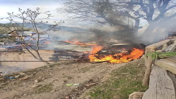 Ceasefire Violation Pakistan