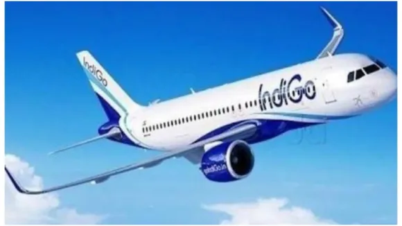 indigo