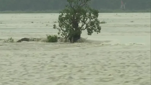 Assam Flood
