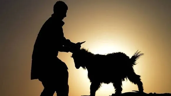 Bakrid 2020,
