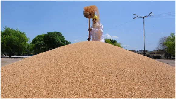 Wheat