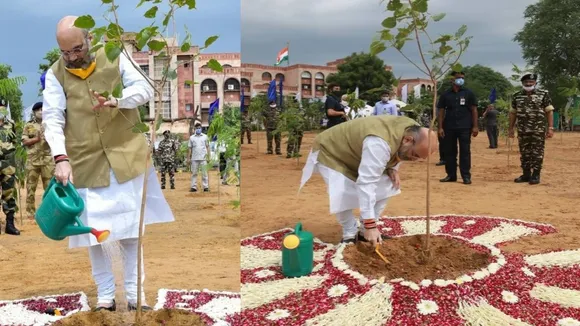 amit shah planting tree