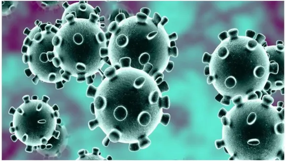 coronavirus