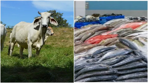 Animal Husbandry Infrastructure Development Fund