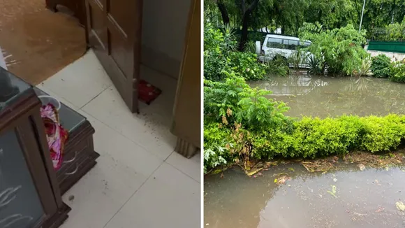 rain  7