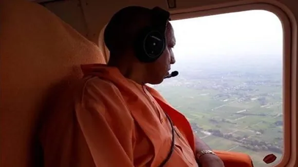 yogi