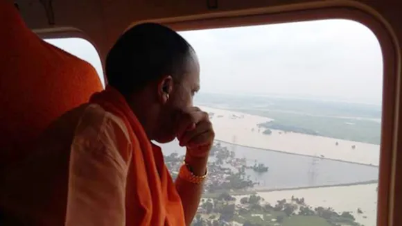 yogi
