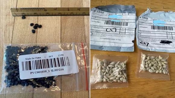 Seed Parcels China