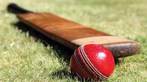 Cricket bat ball