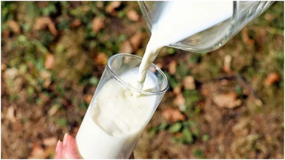 milk