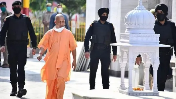 yogi 1