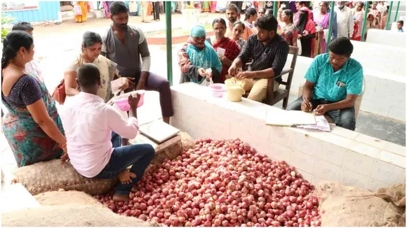 onion