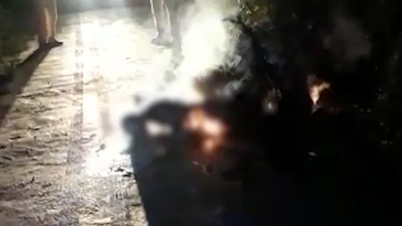 Sikar video