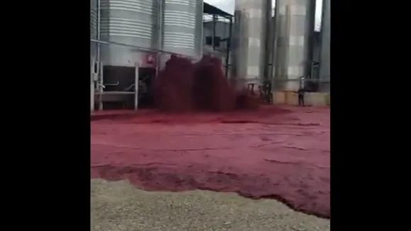 red wine