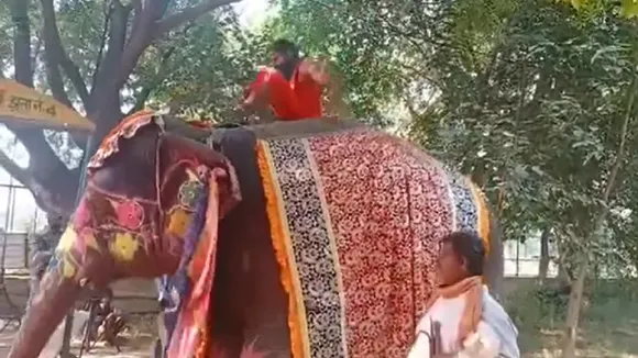 ramdev slipped from elephant