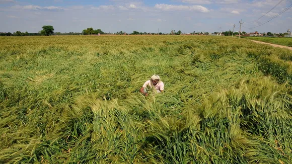 farmer