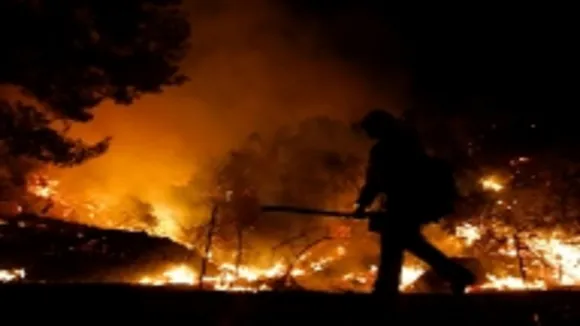 California Forest Fire