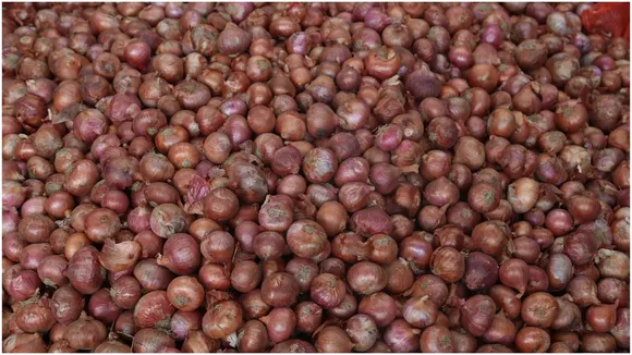 ONION