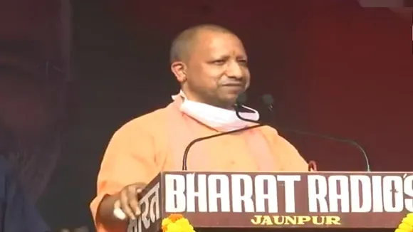 yogi