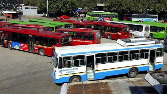bus