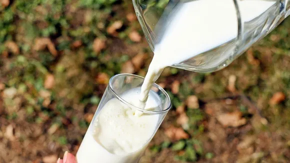 milk