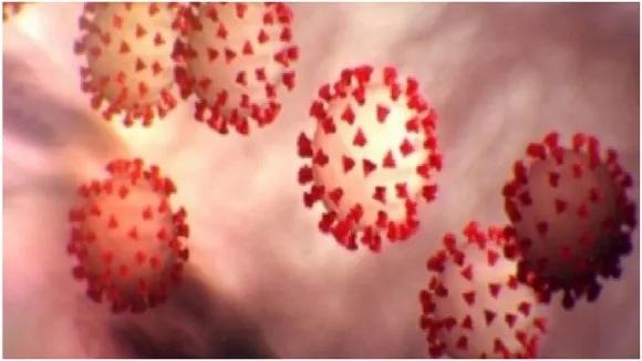 Coronavirus (Covid-19)
