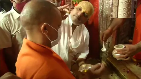 yogi