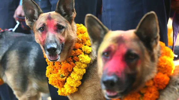 tihar nepal travel adventure