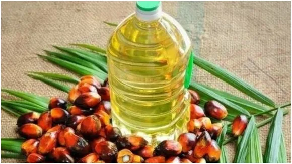 Palm Oil