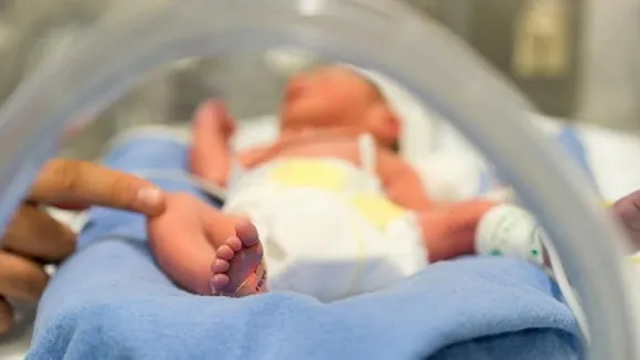 Newborn